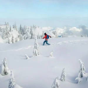 the-Laurentides-Go-Snowshoeing